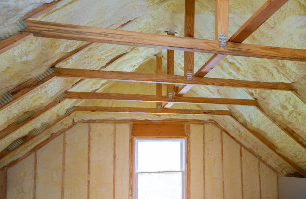 Best Commercial Insulation in Wathena, KS